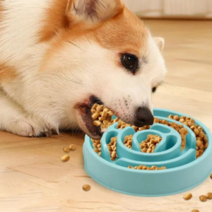 slow feeder din plastic 20 cm