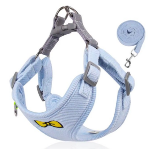 ham pentru caini din plus moale confort + lesa moale albastra s