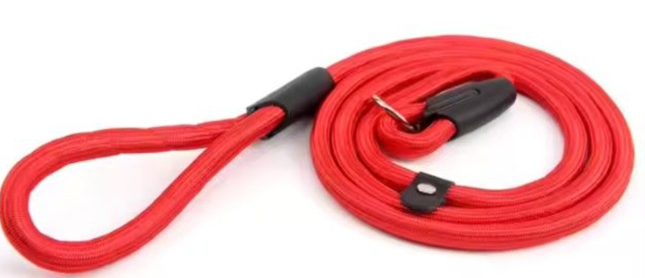 lesa slip on show leash 130 cm 10mm rosie